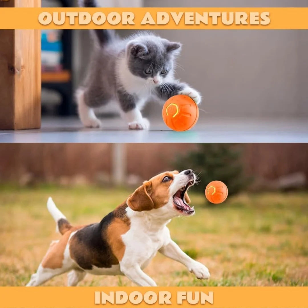Self Bouncing Ball