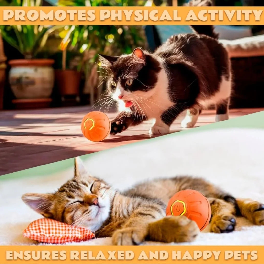 Self Bouncing Ball