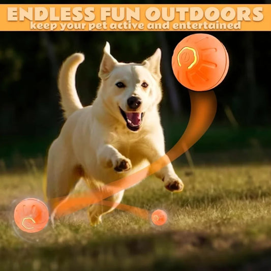 Self Bouncing Ball
