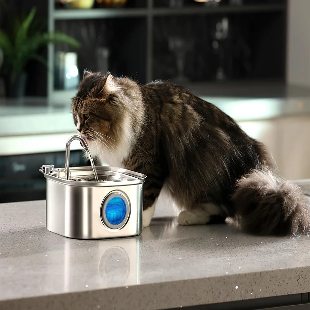 Pet Water Fountain